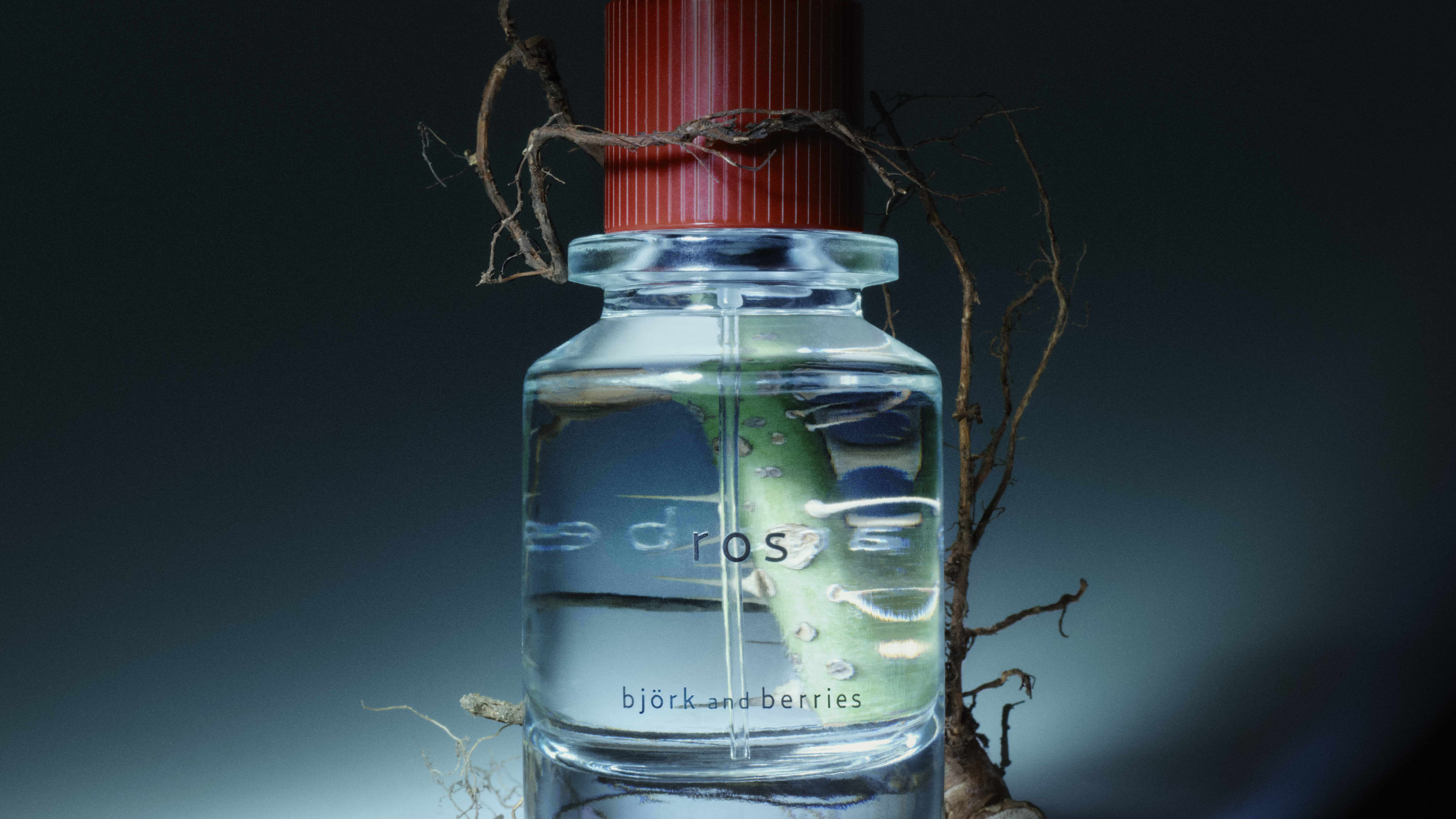 BJÖRK AND BERRIES BJÖRK AND BERRIES